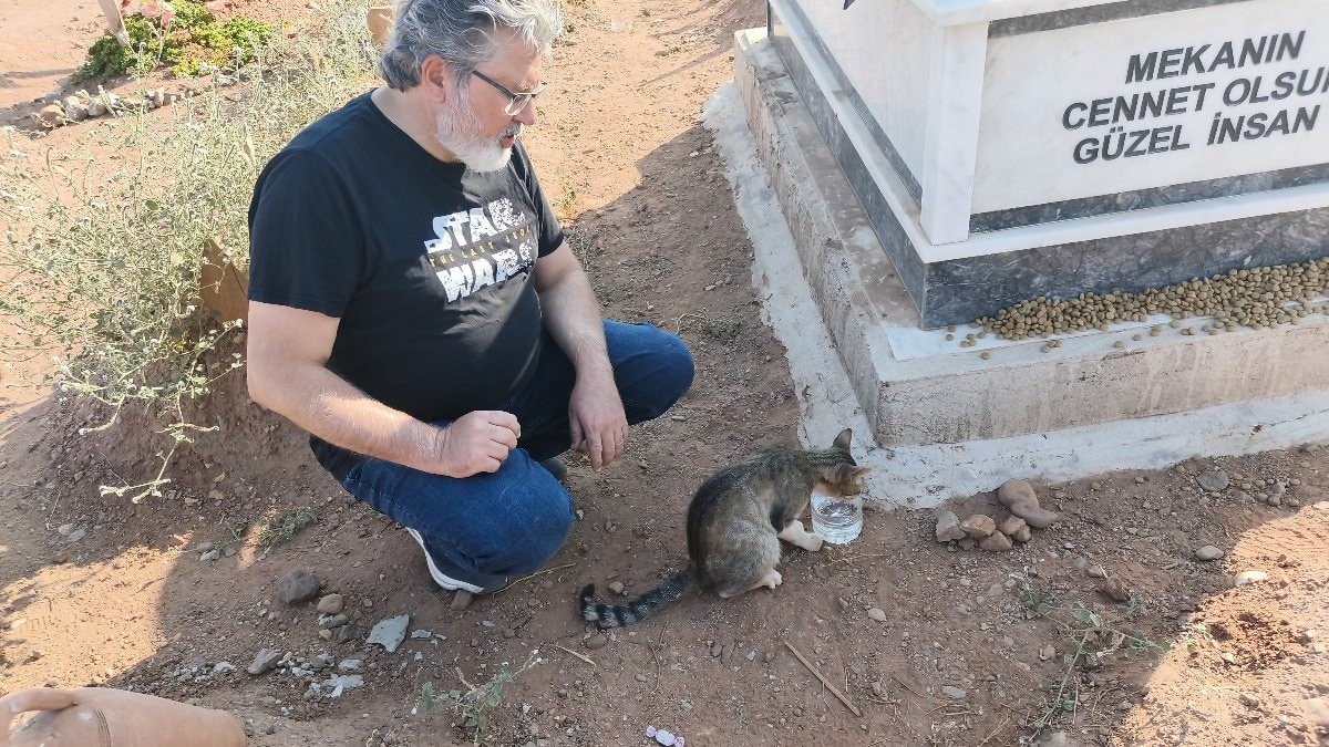 Aydın'da minik kedi, aylardır ölen sahibinin mezarının başında bekliyor