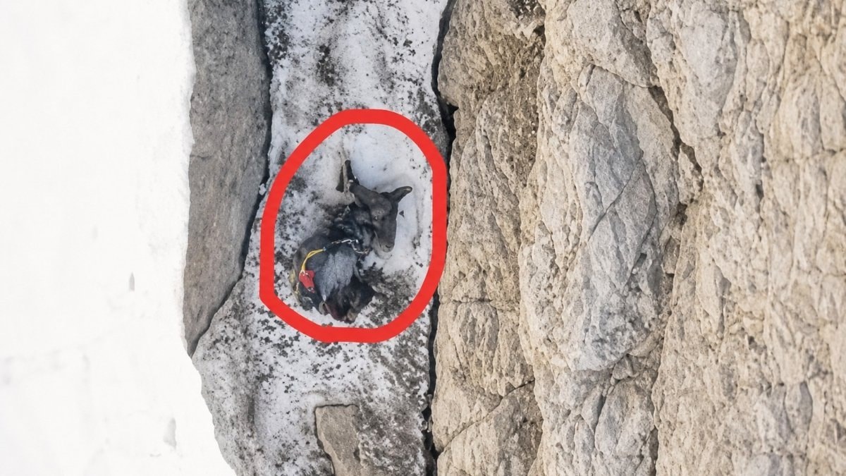 Hakkari'de tırmanış sırasında hayatını kaybeden Yüksel Işık'ın dengesini kaybederek düştüğü tespit edildi