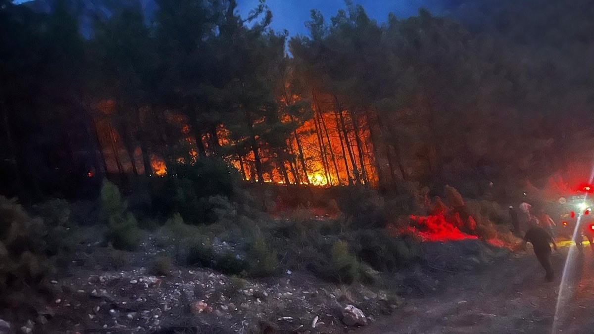 Alanya'da ormanlık alanda çıkan yangın kontrol altına alındı