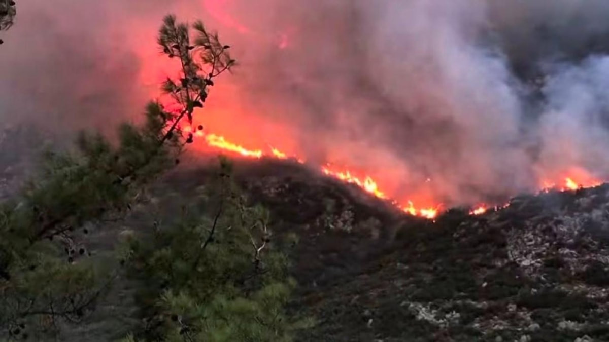 Avrupa'daki orman yangınları artacak