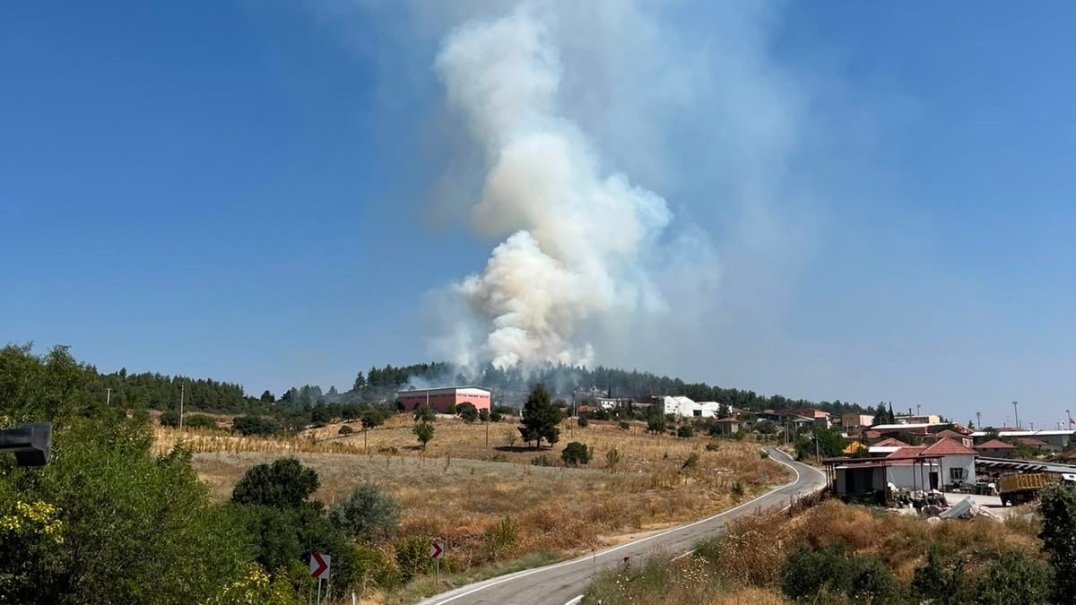 Denizli'de orman yangını