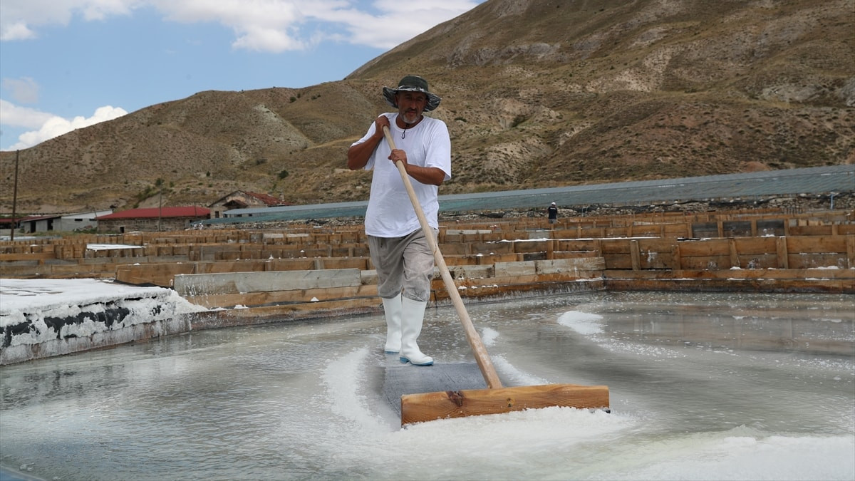 Erzincan'ın Kemah ilçesindeki asırlık tuz geleneksel yöntemlerle sofralara ulaşıyor