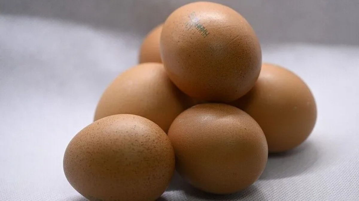 İngiltere'de salmonella alarmı: 1 kişi öldü, 207 kişide virüs tespit edildi