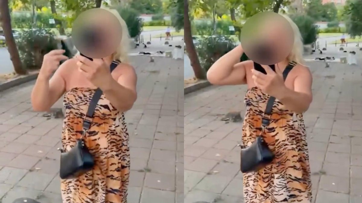 İstanbul'da kedi maması tartışması: Yolu kapatan kadın gözaltında