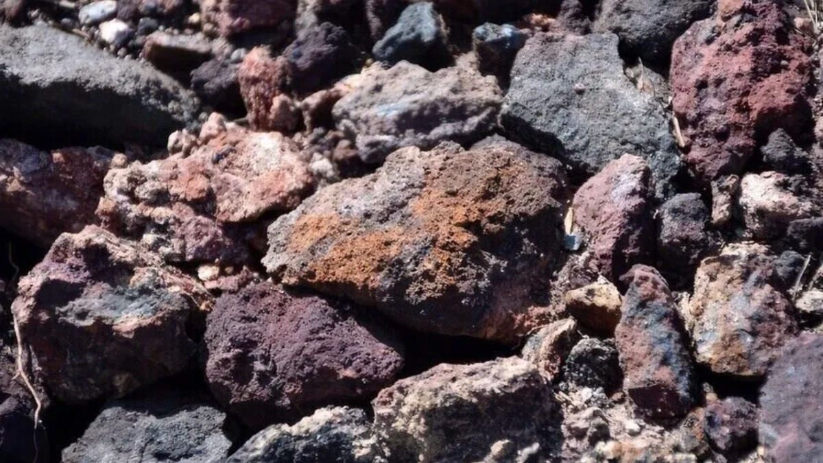 ABD ile Litvanya, Kritik Mineraller Çerçeve Anlaşması imzaladı