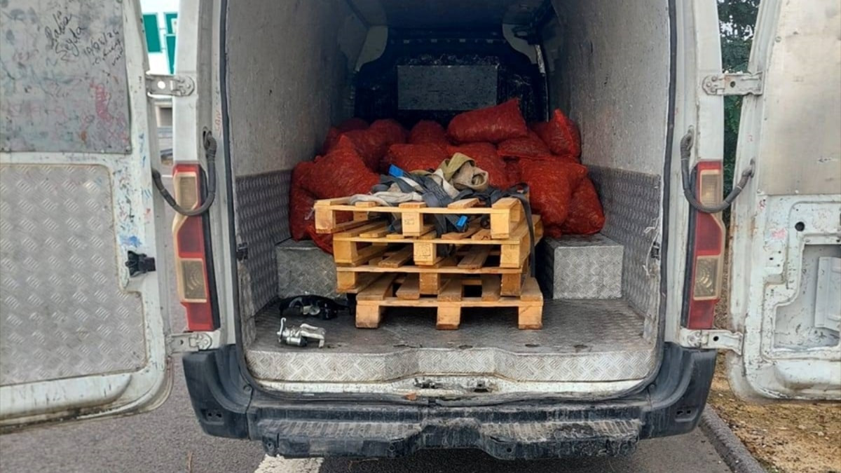 Sakarya'da 2,2 ton midye ve 156 küçükbaş hayvana el konuldu