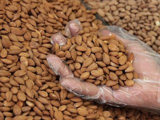 Acı kayısı çekirdeği kanser hücrelerini önlüyor