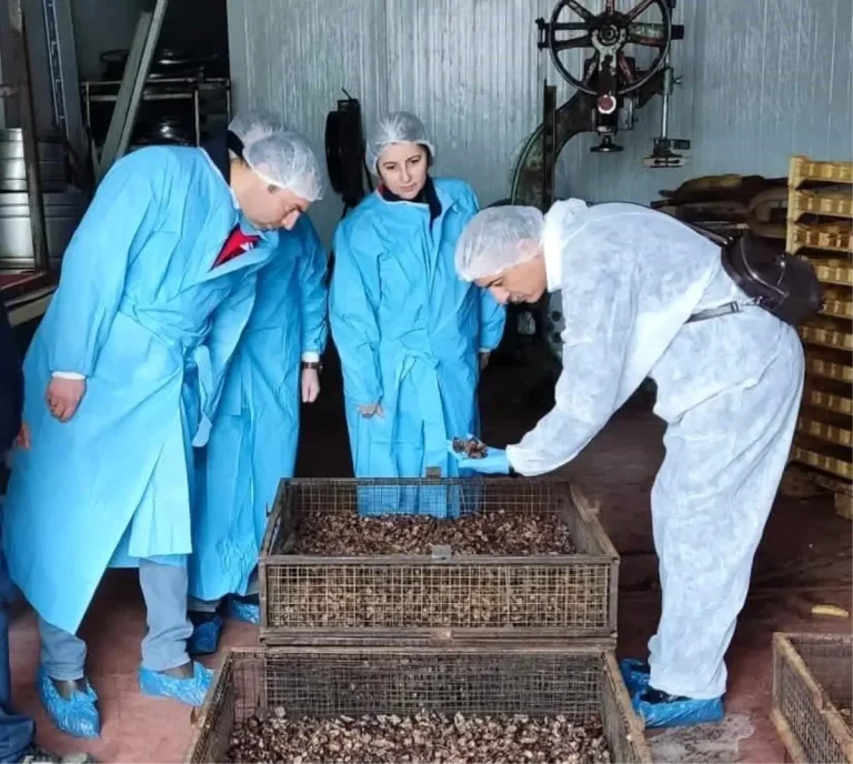 Afyonkarahisar’da Köpek Maması Tesisine Denetim