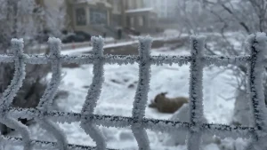 Ardahan’da Dondurucu Soğuklar