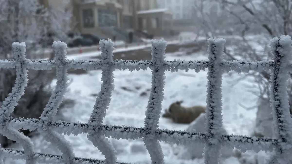 Ardahan’da Dondurucu Soğuklar