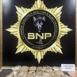 Bayburt’ta Uyuşturucu Operasyonu: Bir Kişi Tutuklandı