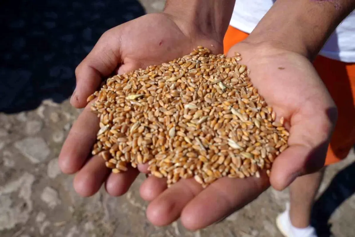 Bayburt’ta Yem Desteği Projesi