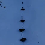 Bitlis’te Kış Hazırlığı: İmece Usulü Yem Taşıma