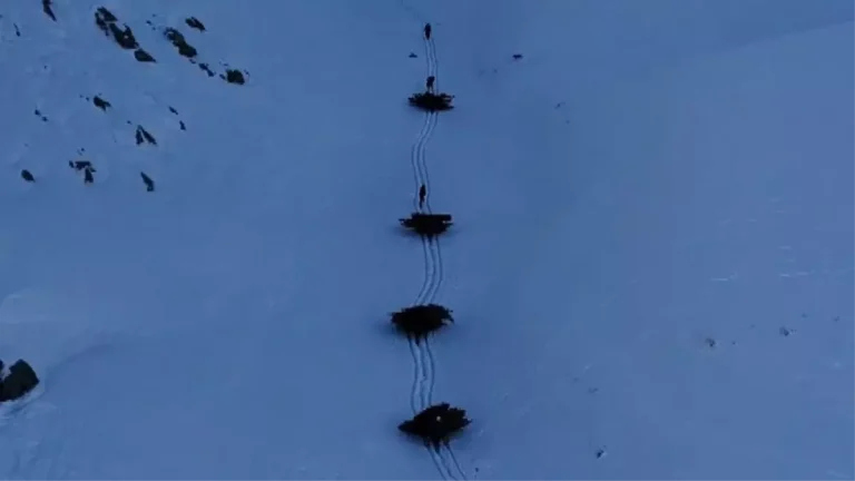 Bitlis’te Kış Hazırlığı: İmece Usulü Yem Taşıma