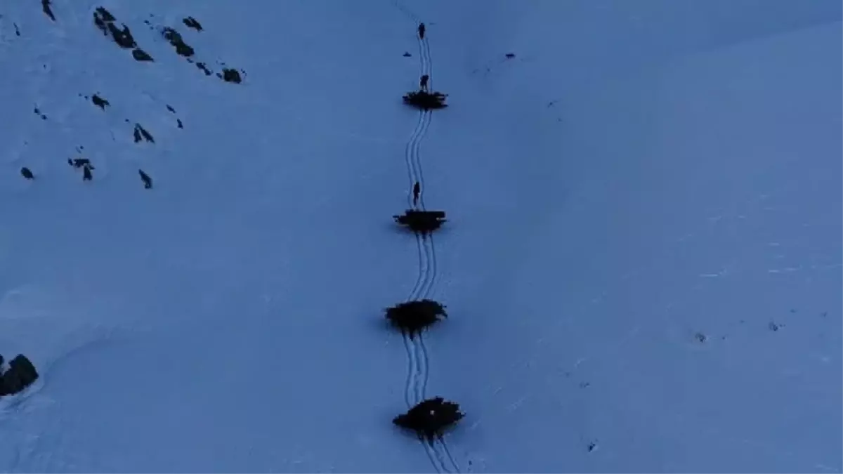 Bitlis’te Kış Hazırlığı: İmece Usulü Yem Taşıma