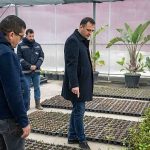 Bornova kendi yeşilini kendi üretiyor