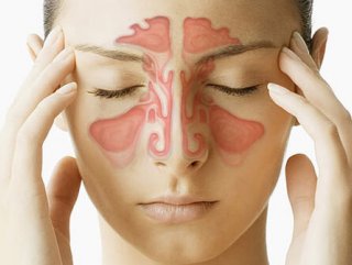 Burun ahtapotu nedir