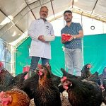 Büyükşehir destekliyor, çiftçinin yüzü gülüyor