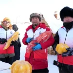 Buz Heykelleri Bitki Boyalarıyla Renklendi