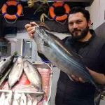 Çanakkale’de Torik Balığı Sevinci