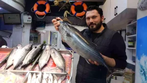 Çanakkale’de Torik Balığı Sevinci