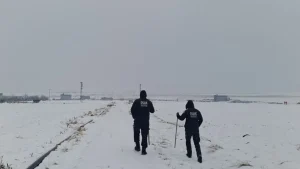 Diyarbakır’da Kaybolan Nimet Kılıç için Arama Çalışmaları Sürüyor