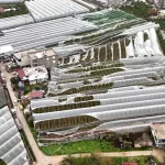 Finike’de hortumdan zarar gören seralarda hasar tespiti başladı