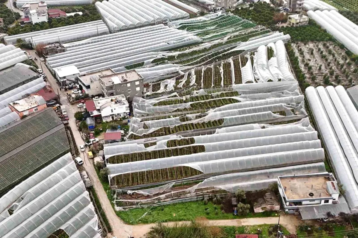 Finike’de hortumdan zarar gören seralarda hasar tespiti başladı