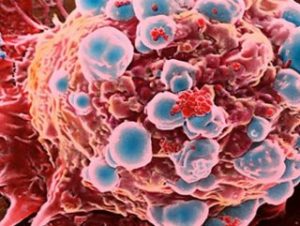 Haftada bir şişe şarap, 10 sigara kadar zararlı