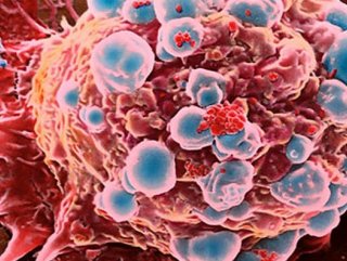 Haftada bir şişe şarap, 10 sigara kadar zararlı