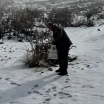 Hasankeyf’te Yaban Hayvanları İçin Yem Bırakıldı
