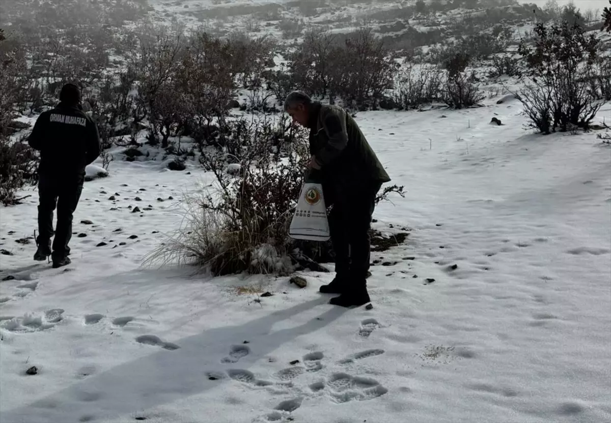 Hasankeyf’te Yaban Hayvanları İçin Yem Bırakıldı