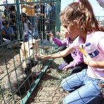 Hayvanları Koruma Gününe Renkli Kutlama