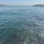 İBB’nin bağlı kuruluşu İstanbul Su ve Kanalizasyon İdaresi (İSKİ), Baltalimanı’nda boğaza atık su akışı olduğu iddialarını yalanladı