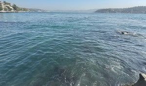 İBB’nin bağlı kuruluşu İstanbul Su ve Kanalizasyon İdaresi (İSKİ), Baltalimanı’nda boğaza atık su akışı olduğu iddialarını yalanladı