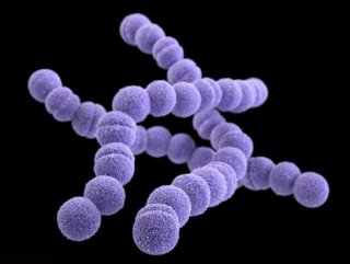 İngiltere’de 12 kişi bakteri yüzünden hayatını kaybetti