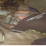 Kemalpaşa Ulucak’ta menfeze giren aracın çıkarılma çalışmaları sürüyor