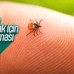 Kene ısırığından korunmanın yolları