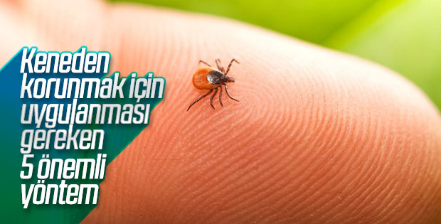 Kene ısırığından korunmanın yolları