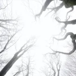 Kırklareli’nde Sis Hayatı Olumsuz Etkiliyor