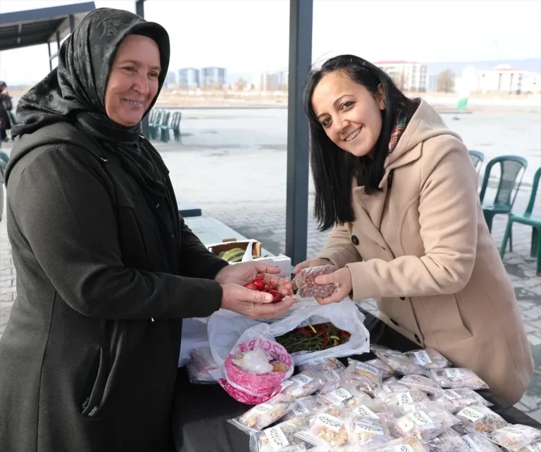 Kocasinan’da 22.500 Ata Tohumu Dağıtıldı