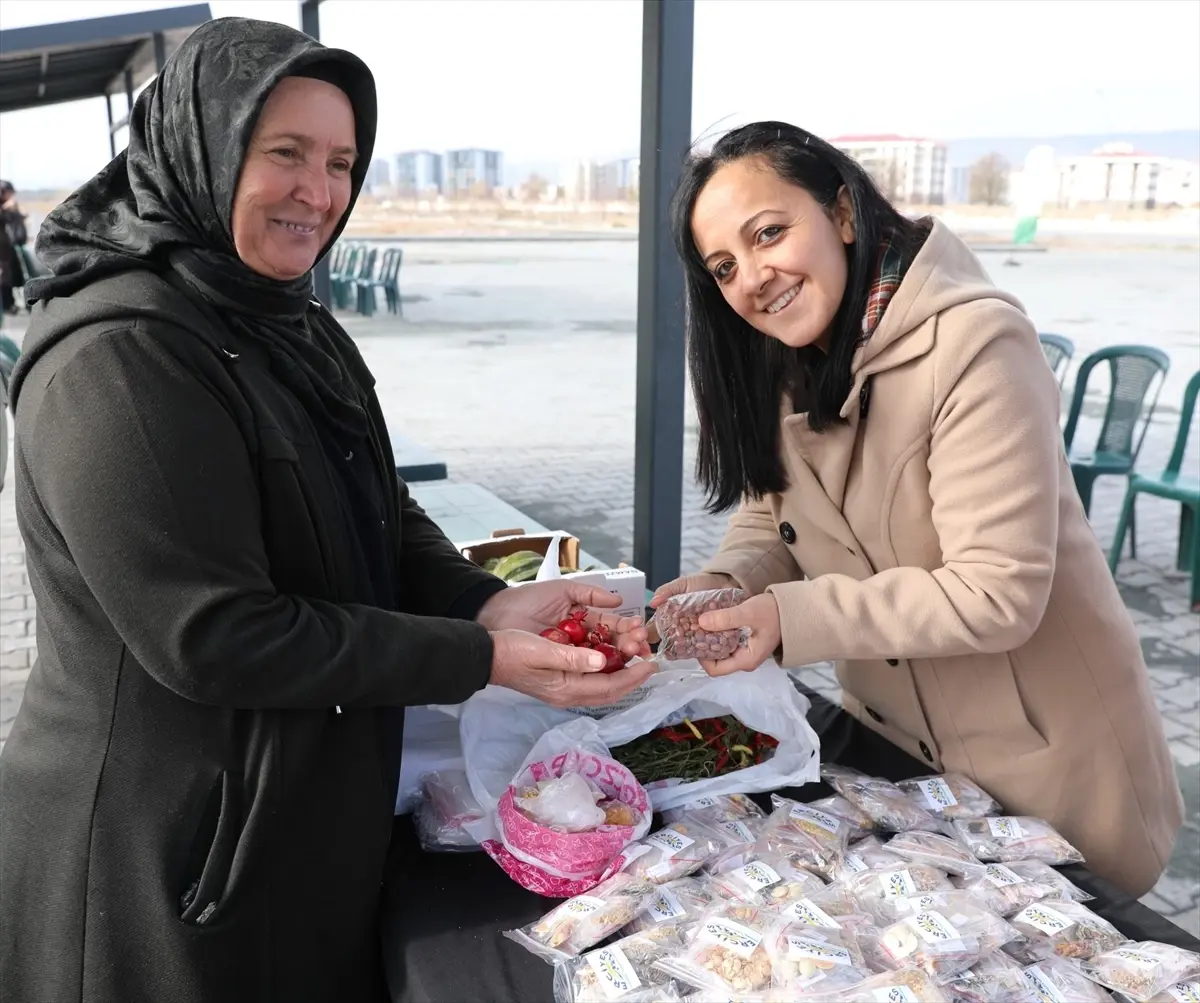 Kocasinan’da 22.500 Ata Tohumu Dağıtıldı