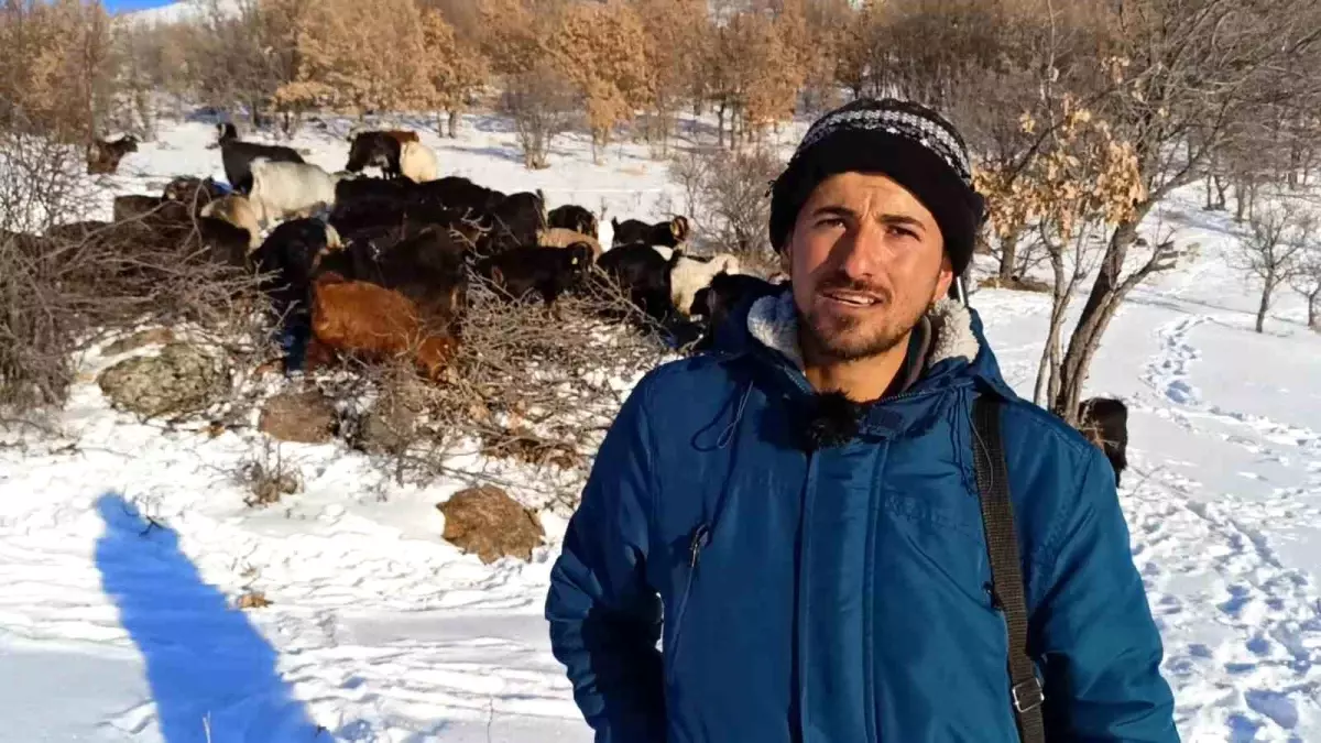 Malatya’da Hayati Açık’ın Zorlu Hayvancılık Mücadelesi