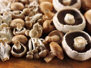 Mantar zehirlenmeleri yüzde 34 arttı