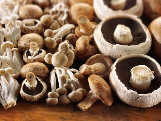 Mantar zehirlenmeleri yüzde 34 arttı