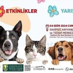 Osmangazi Belediyesi, 4 Ekim Dünya Hayvanları Koruma Günü’nde düzenleyeceği bir dizi etkinlik ile hayvan haklarına ve doğal yaşamın önemine dikkat çekecek