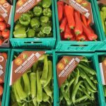 Pestisit analiz kapsamı genişliyor: Biberler de analiz ediliyor