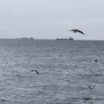 Tekirdağ’da Lodos Ulaşımı Aksatıyor