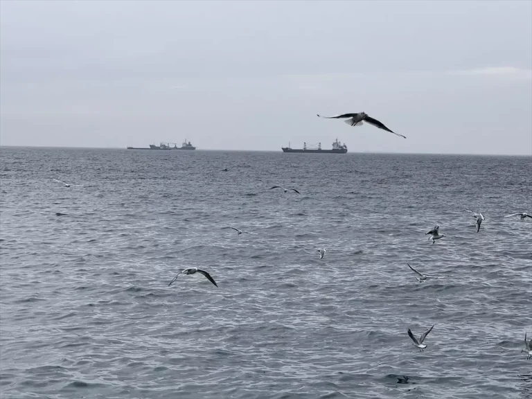 Tekirdağ’da Lodos Ulaşımı Aksatıyor