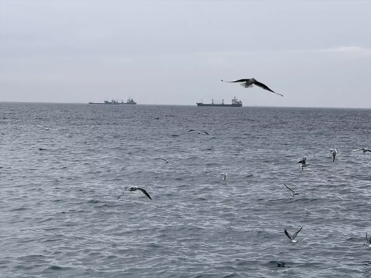 Tekirdağ’da Lodos Ulaşımı Aksatıyor